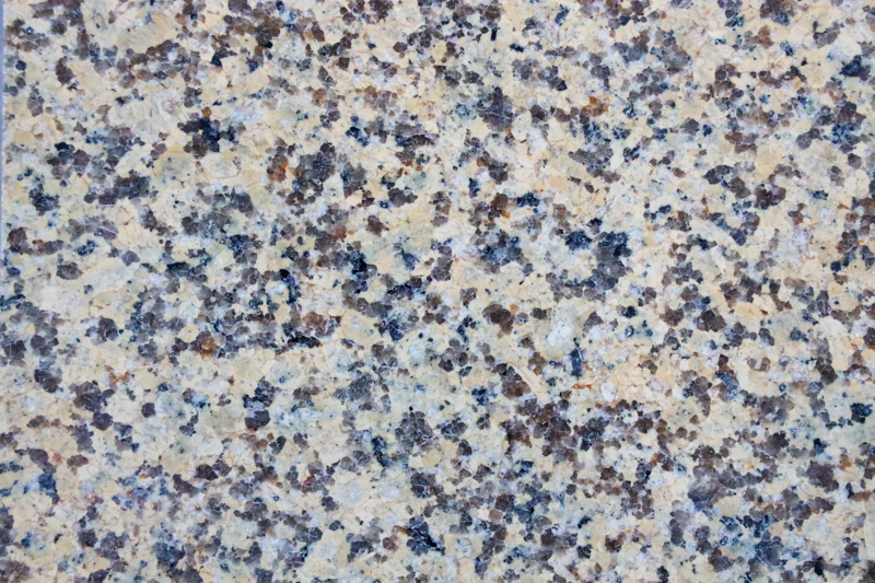 新疆卡麥大黃光面